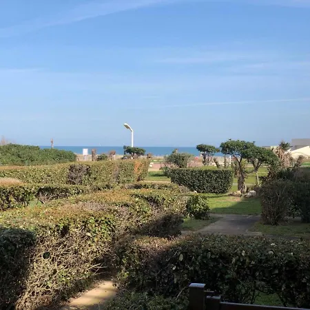 Apartment T2 4 Pers, Terrasse, Parking, A 50m - Fr-1-81-529 Le Barcares