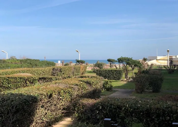 Διαμέρισμα T2 4 Pers, Terrasse, Parking, Proche - Fr-1-81-529 Le Barcarès