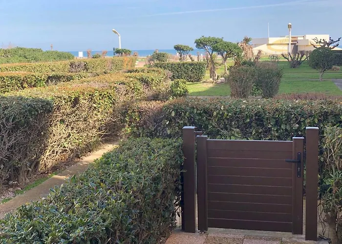 T2 4 Pers, Terrasse, Parking, Proche - Fr-1-81-529 Διαμέρισμα